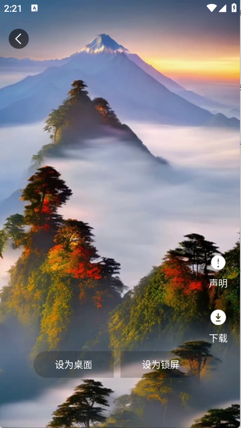蝴蝶壁纸图3