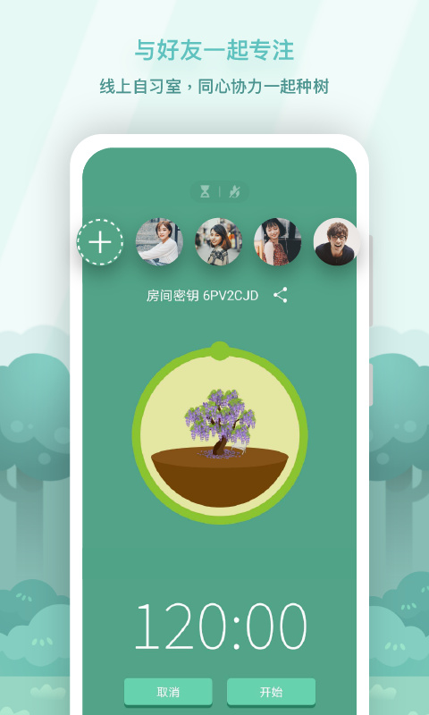 Forest专注森林正版图3