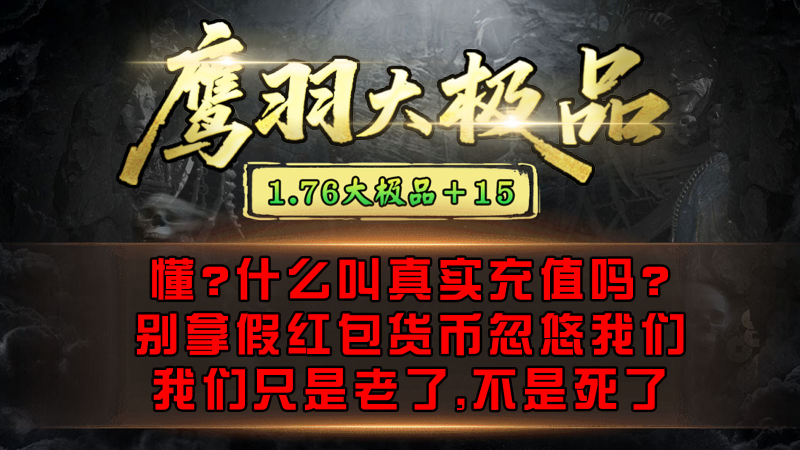 鹰羽76大极品手机版图1