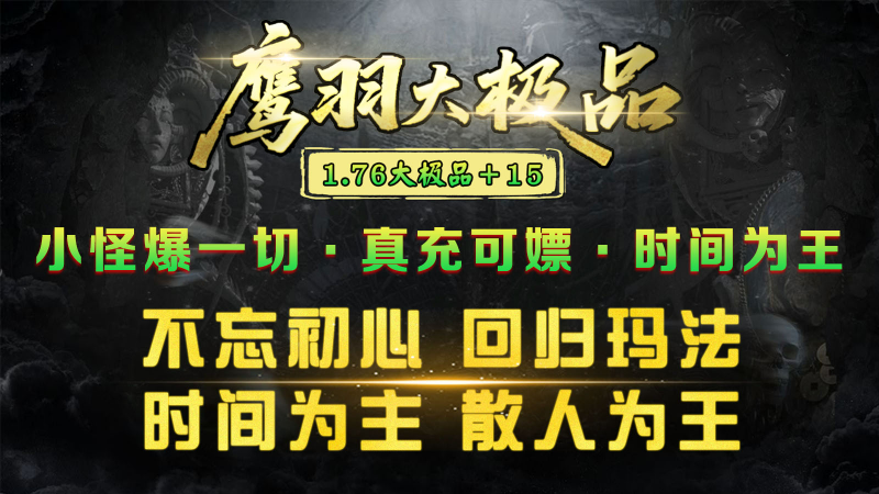 鹰羽76大极品手机版图3