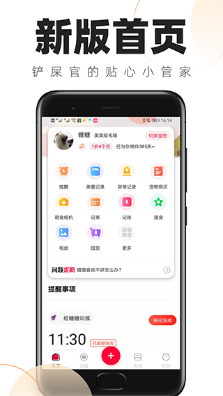 铲屎官的日常安卓直装版图1