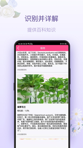 拍照识花神器手机最新版图2