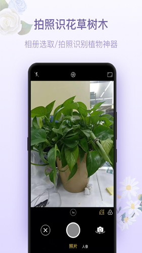 拍照识花神器手机最新版图4