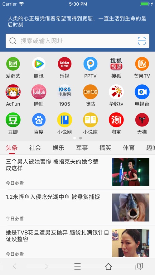 可乐浏览器图1
