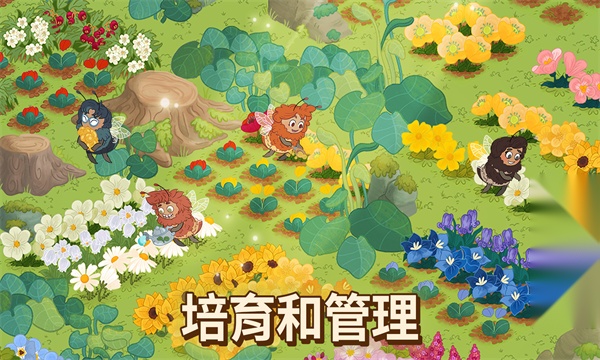 蜜蜂园林(2)