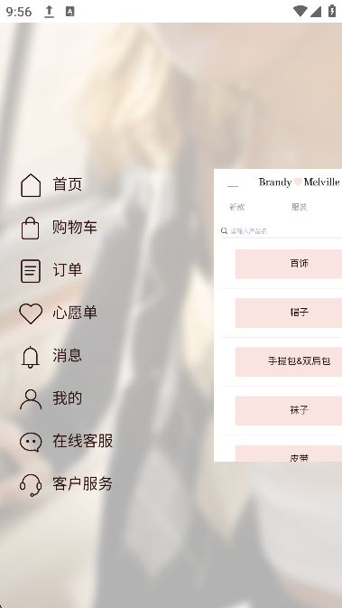 Brandy Melville图2