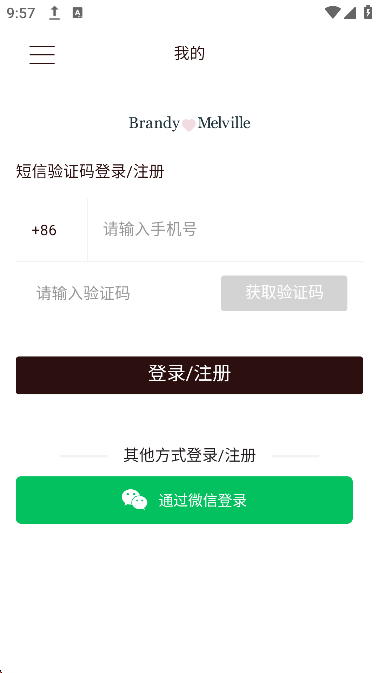 Brandy Melville图5