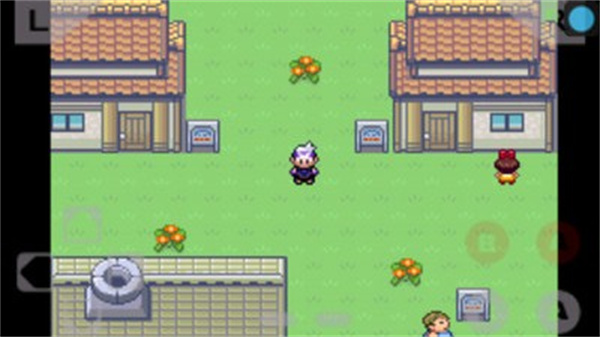 口袋妖怪绿宝石386版图1