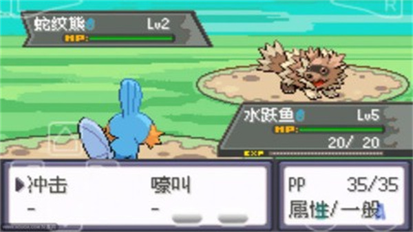 口袋妖怪绿宝石386版图2