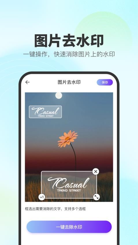 去印宝图2