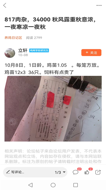 鸡病专业网论坛安卓版