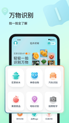 花卉识别-图5