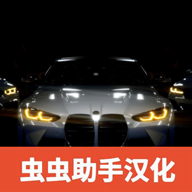 真实汽车驾驶
