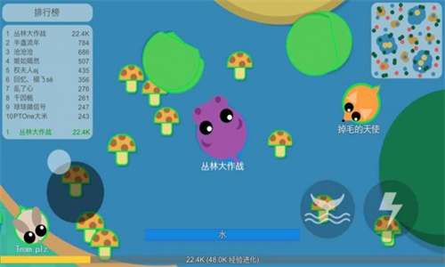 丛林大作战官方最新版(4)