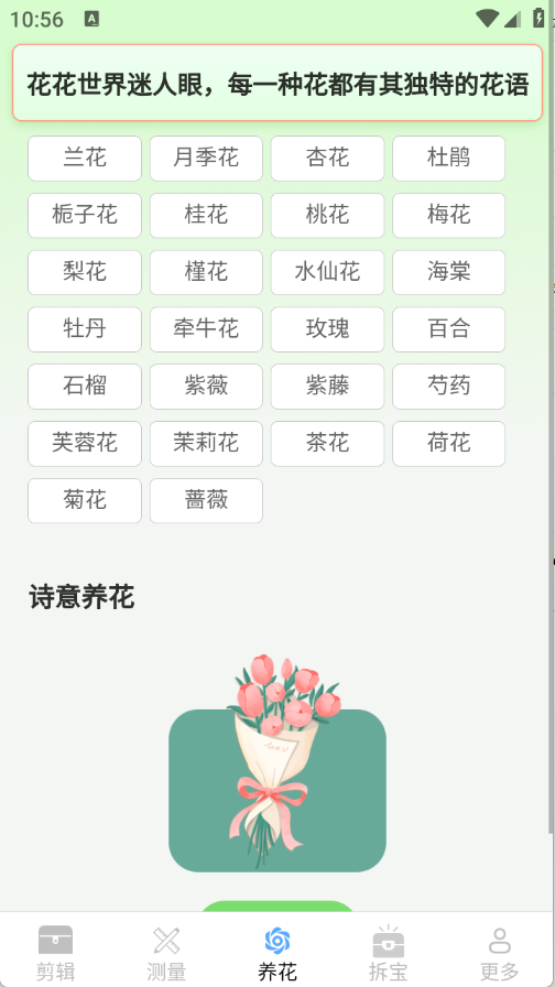 真能帮工具箱图3
