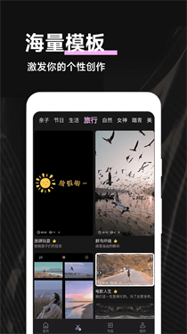 Kino图2