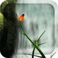 森林的另一边 V1.3.13