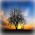 梦幻风景动态壁纸 V1.979