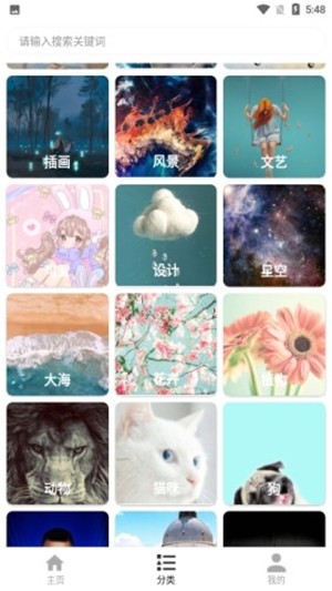 花样壁纸图4