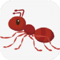 旅游蚁虫 V1.4