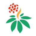 三七通 V1.0.0