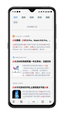 rains浏览器(2)