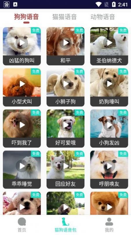 多多猫语狗语翻译器(4)