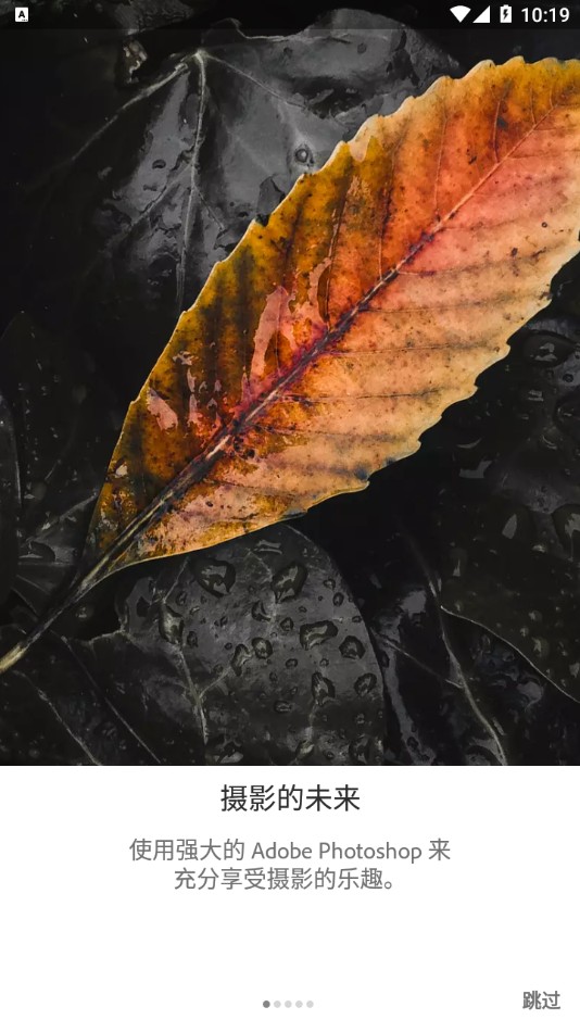 Lightroom手机版图3