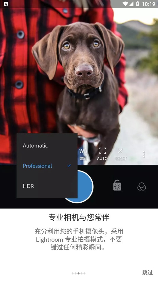 Lightroom手机版图5