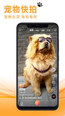 宠友社交图4