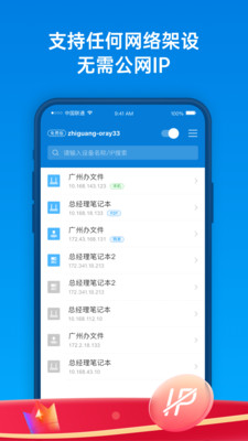 蒲公英