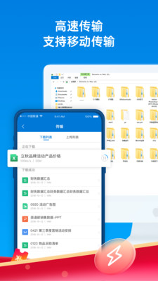 蒲公英