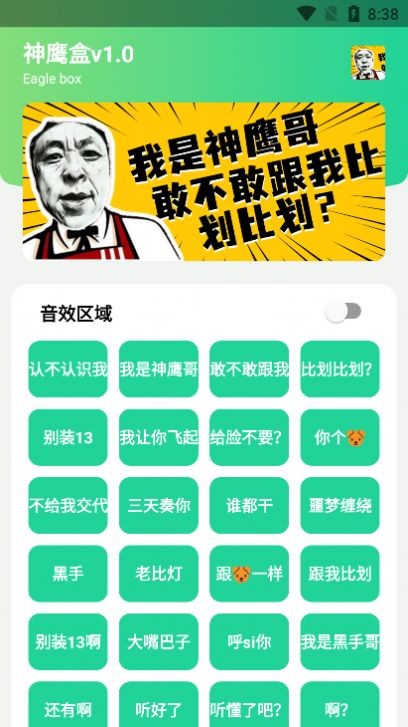 神鹰盒版
