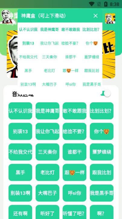 神鹰盒版