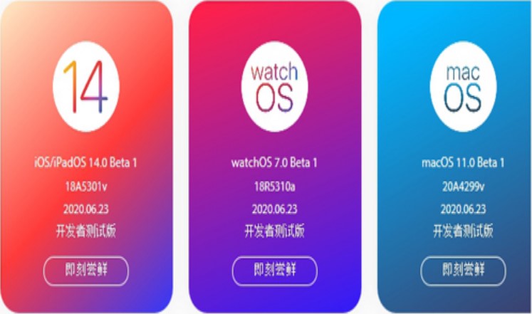 尝鲜派图3