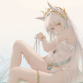 甚挽框架专属防闪版 V1.80.00