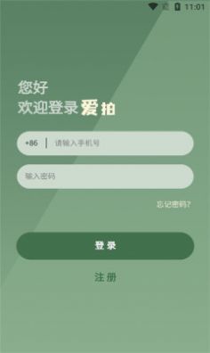 爱拍拍卖图1