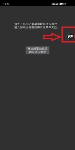 ff修改器(2)