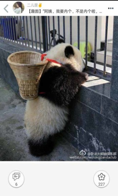 柚次元图4