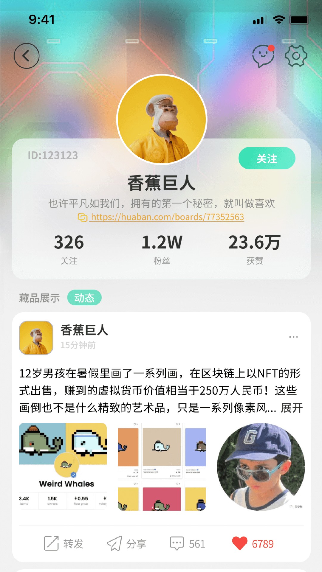 波荷(4)