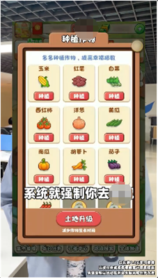 幸福集市图4