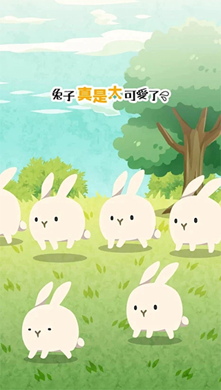 兔子真是太可爱了(1)