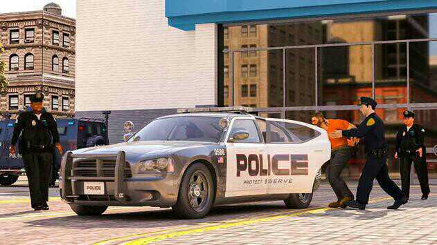 虚拟警察模拟器版图1