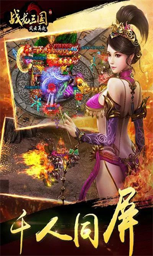 战龙三国游戏官方最新版图3