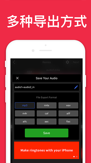audioeditor(4)