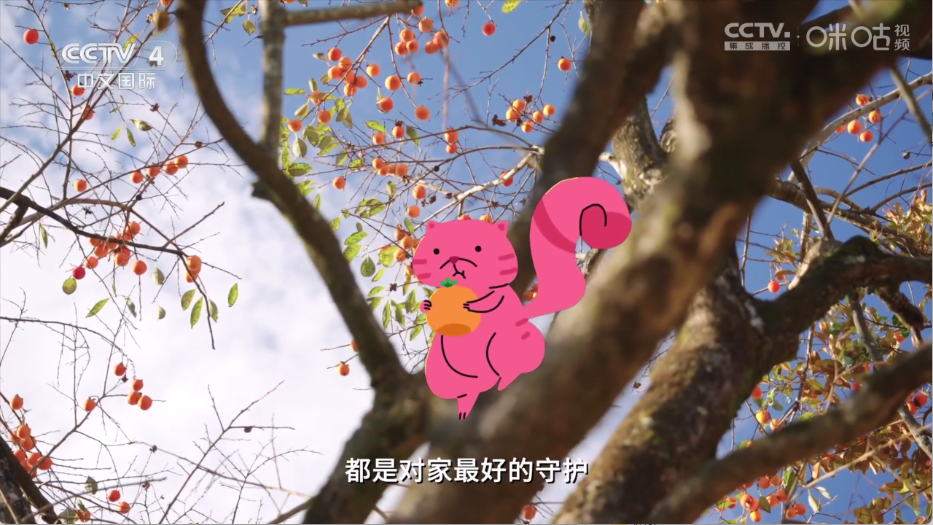 小岭电视图3
