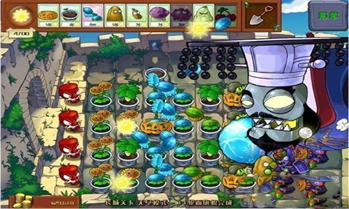 植物大战僵尸金坷垃版(2)