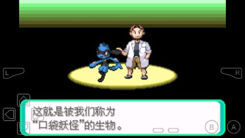 口袋妖怪冰之冒险图3