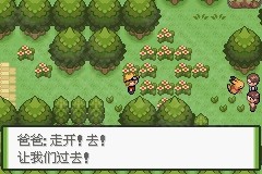 口袋妖怪釉色(1)