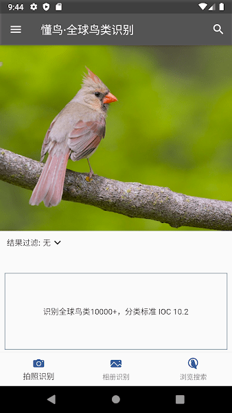 懂鸟全球免费原版图1